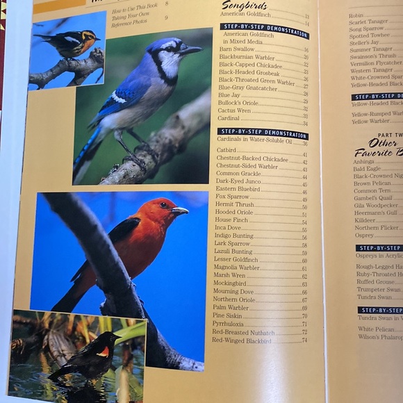 Artist’s Photo Reference songbirds & other Favorite Birds Hardback book - Picture 2 of 8